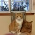 Madalyn Pearson - Facebook