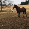 @Maddie🫶🏼✨ - @madelynrayward - TikTok