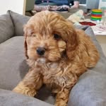 Maddy - @madelynrichardson34 - Instagram