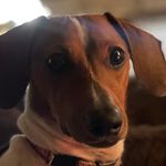 Madelyn Richardson - @mads_time - Instagram