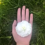 @madelynrogers_music - Instagram