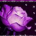 Madelyn Ruiz - Facebook