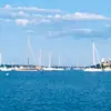 madelynrussell - @madelynrussell111 - TikTok