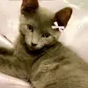 Madelyn - @madelynsanchez83 - TikTok