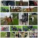 Maddy Schroeder - Facebook