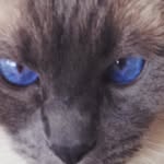 Madeline Schroeder - @maddie1101dog - Instagram