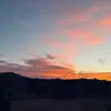 maddie - @madelynnstrong - TikTok