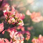 Madeline Terry - @1_goldencactus - Instagram