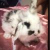 @Madelynwade3 - @madelynwade38 - TikTok