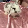 madelynwade3 - @madelynwade3 - TikTok