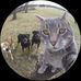 Madelyn Walters - Facebook