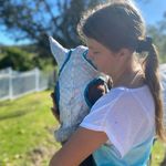 Madeline Warner - @madeline_warner05 - Instagram
