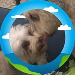Madelyn Witas Watts - @madelyn42 - Instagram