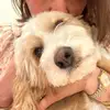 Madeline Webster - @madeline.webster - TikTok
