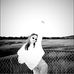 Madelyn Whitlock - Facebook