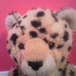 Madelyn Wilder - @snakecatch123 - Instagram