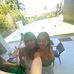 Maddy Willis - Facebook