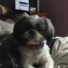 user5969025827416 - @madelynwillis - TikTok