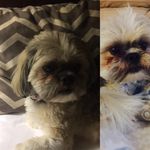 Madelyn Witt - @witt_0219_oscar - Instagram