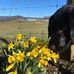 Madelyne Yoder - Facebook