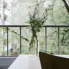 MadelynnMitchell - @madelynnmitchell6 - TikTok