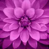 madelynnsmall01 - @madelynnsmall01 - TikTok