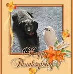 Maggie Bird - Facebook