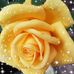 Madge Brooks - Facebook