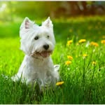 Madge Hicks - @mhicks3499 - Instagram