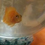 Hubert Madge - @hubertmadge - Instagram