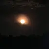 Moon Madge - @moon.madge - TikTok