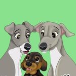 Mick, Madge & Morris - @mickmadgeandmorris - Instagram