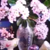 madgepatterson1999 - @madgepatterson1999 - TikTok
