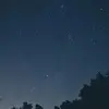 MadgePhillips5286 - @madgephillips5286 - TikTok