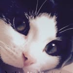 Madge Scott - @madge_kitten - Instagram