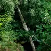 madgewarren568 - @madgewarren568 - TikTok