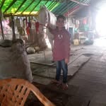 @madhavikumar2025 - Instagram