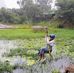 Madhu Malathi - Facebook