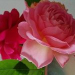Madhu Malathi - @madhu.malathi.524 - Instagram
