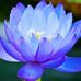 Madhu Malathi - Facebook