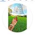Madhu Roy - Facebook