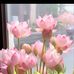 Madhu Roy - Facebook