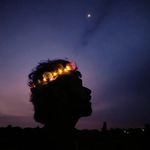 Madhur Bajaj - @the_contemporary_quill - Instagram