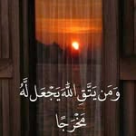 Madeha El-Sayed - @madiha_el_sayed - Instagram