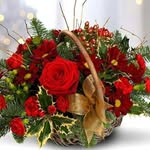 Madiha Elsayed - @madiha.elsayed.75 - Instagram