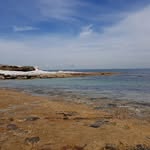 Madiha Mimi El-Sayed - @elsayed_madiha - Instagram