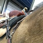 🐴Maddie Angus 😜 - @madisonaudreyangus - Instagram