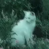 madisonbalkcom - @madisonbalkcom - TikTok