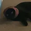 madison - @madisonballs1 - TikTok