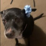 madi - @madison_barton420 - Instagram